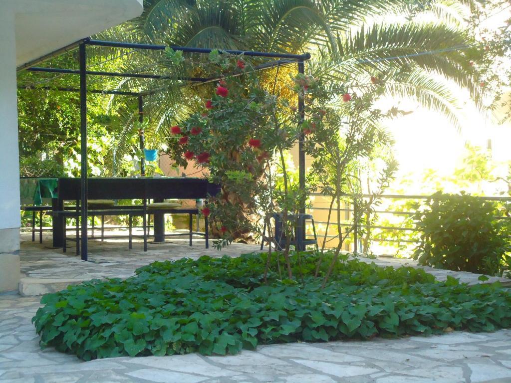 Apartments Villa Petranovic Budva Extérieur photo