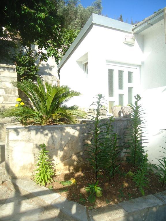 Apartments Villa Petranovic Budva Chambre photo