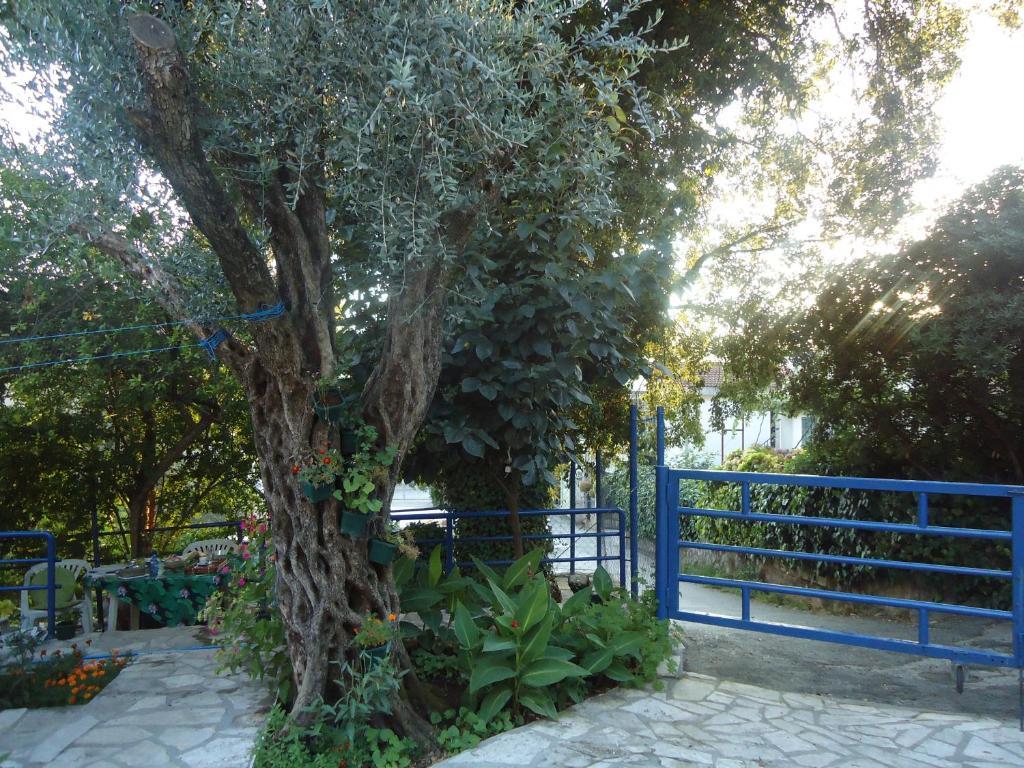 Apartments Villa Petranovic Budva Extérieur photo