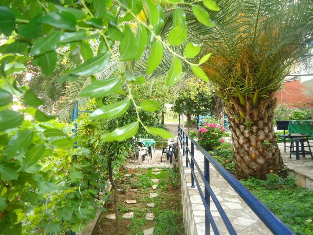 Apartments Villa Petranovic Budva Chambre photo